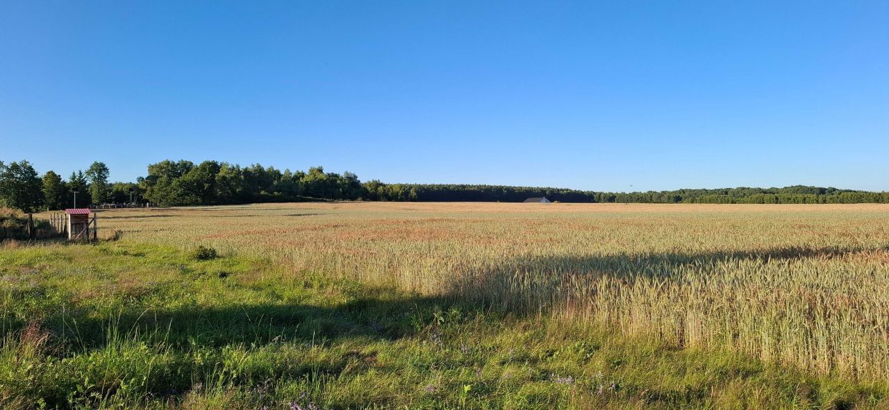 Działka budowlana Grzymalin. Zdjęcie 3