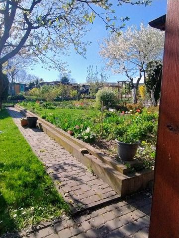 Działka rod Starachowice, ul. Martenowska. Zdjęcie 1