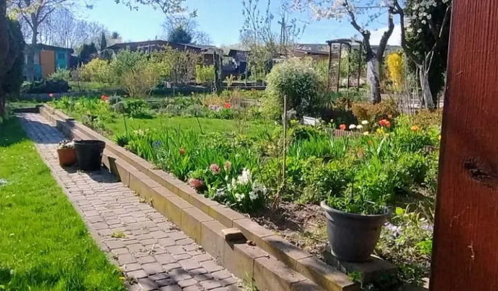 Działka rod Starachowice, ul. Martenowska