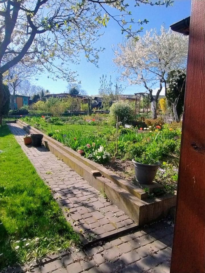 Działka rod Starachowice, ul. Martenowska. Zdjęcie 1