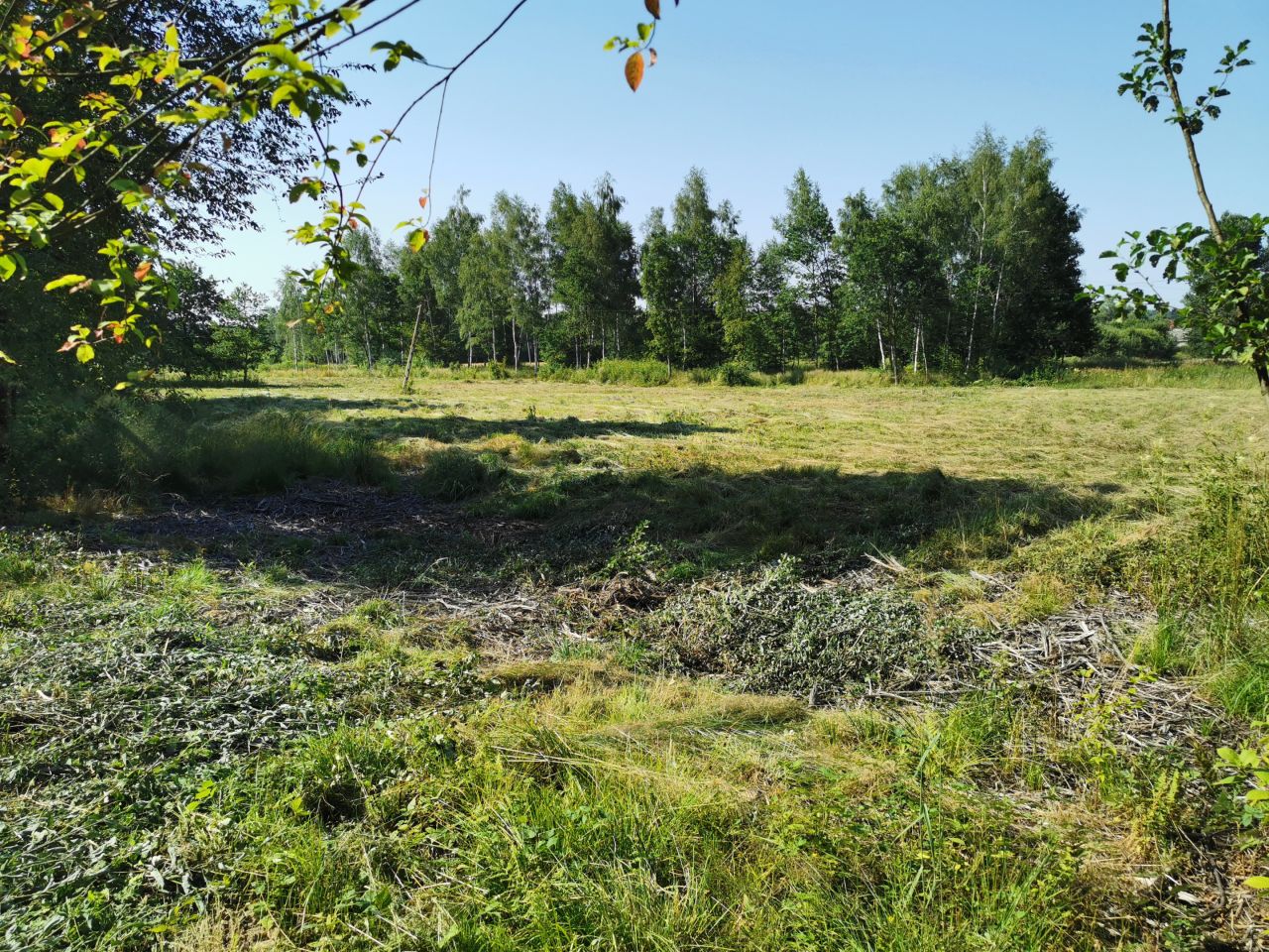 Działka rolno-budowlana Kobyle Kącina. Zdjęcie 3