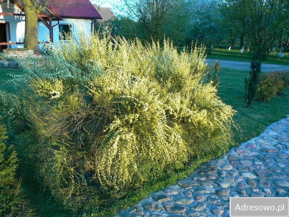 dom wolnostojący, 6 pokoi Łowinek Nowy Łowinek, ul. Jedności. Zdjęcie 7