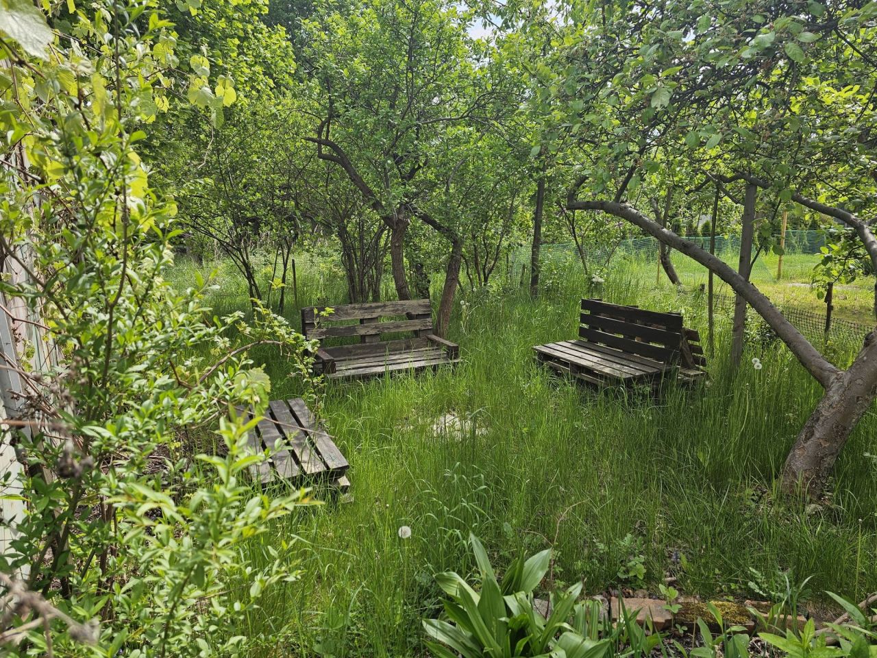 Działka rod Iwiny, ul. Polna. Zdjęcie 5