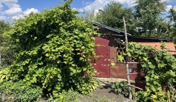 Działka rod Chełm, ul. Żabia