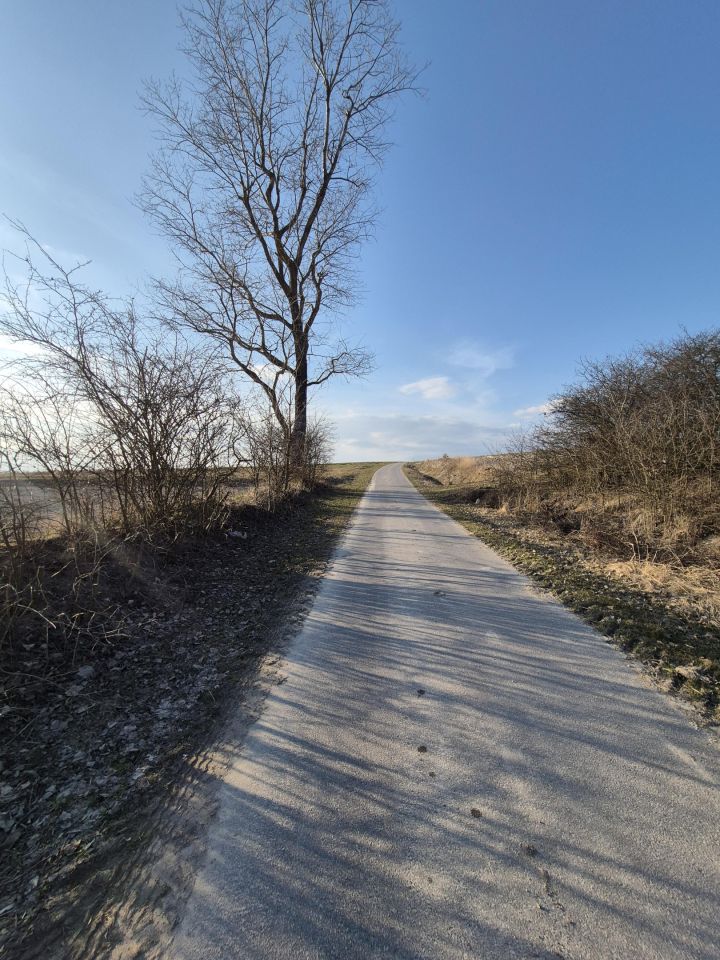 Działka budowlana Zaryszyn. Zdjęcie 11