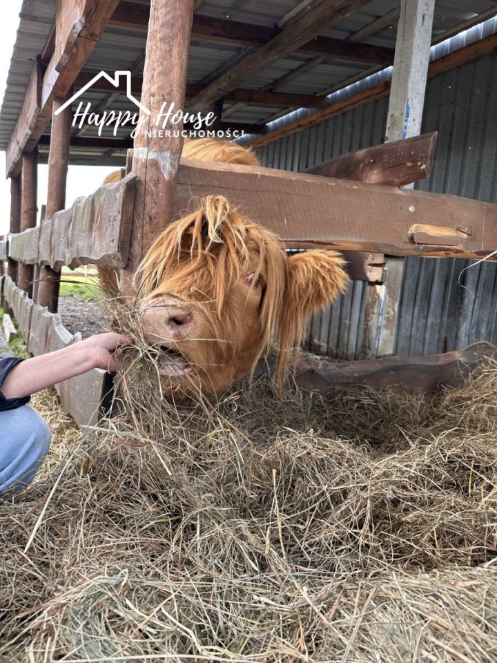 dom wolnostojący, 4 pokoje Ogorzeliny Pod Sławęcin. Zdjęcie 24