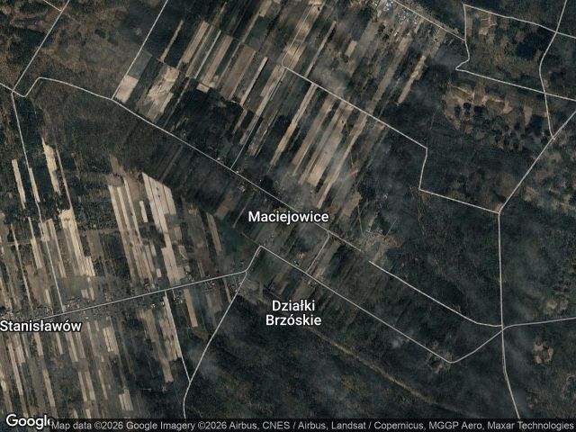 Działka leśna Maciejowice, .... Zdjęcie 1