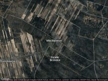 Działka leśna Maciejowice, ...