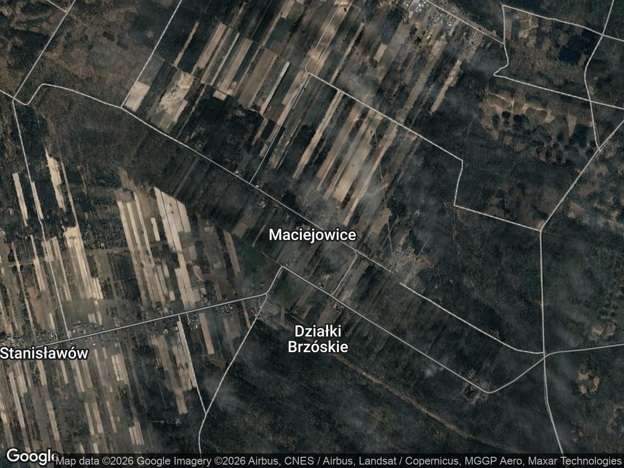 Działka leśna Maciejowice, ...