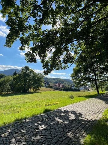 dom wolnostojący, 6 pokoi Szczawno-Zdrój, ul. Nizinna. Zdjęcie 3