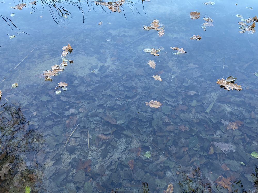 Działka rekreacyjna Borowy Młyn. Zdjęcie 2