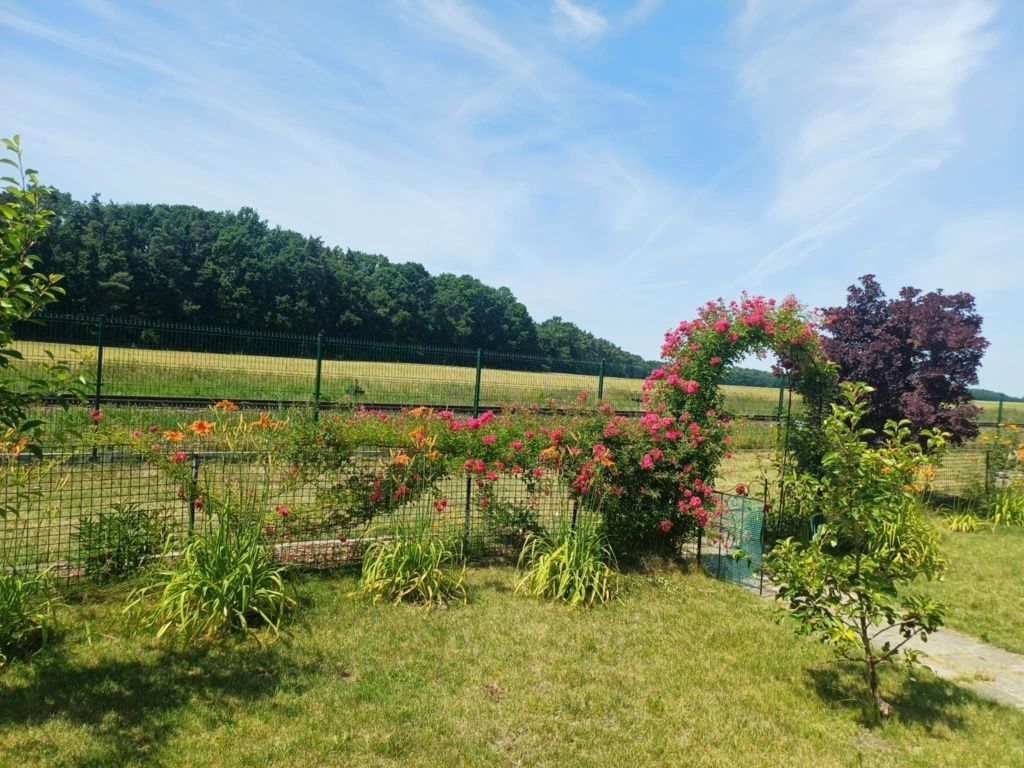 Działka rod Wolsztyn. Zdjęcie 6