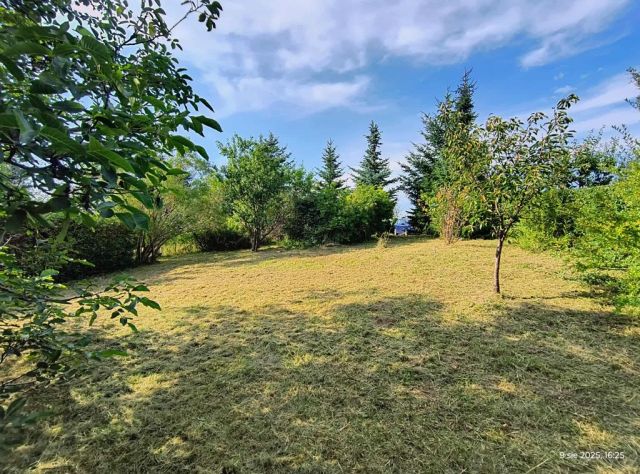 Działka rekreacyjna Tuchola, ul. Sępoleńska. Zdjęcie 1