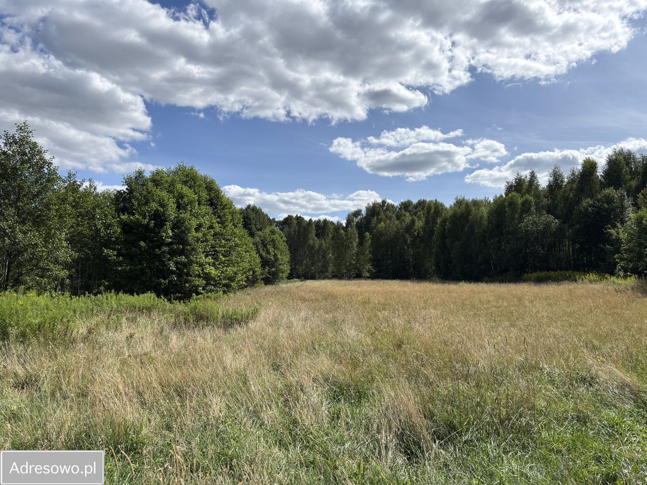 Działka inwestycyjna Kąty-Miąski. Zdjęcie 3