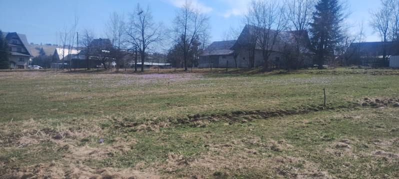 Działka budowlana Czerwienne Pałki. Zdjęcie 1