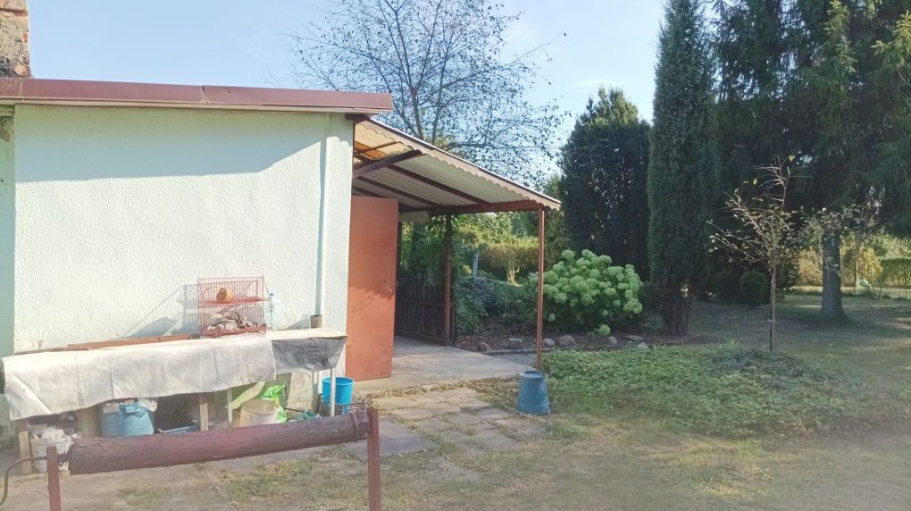 Działka rod Gliwice Sośnica. Zdjęcie 8