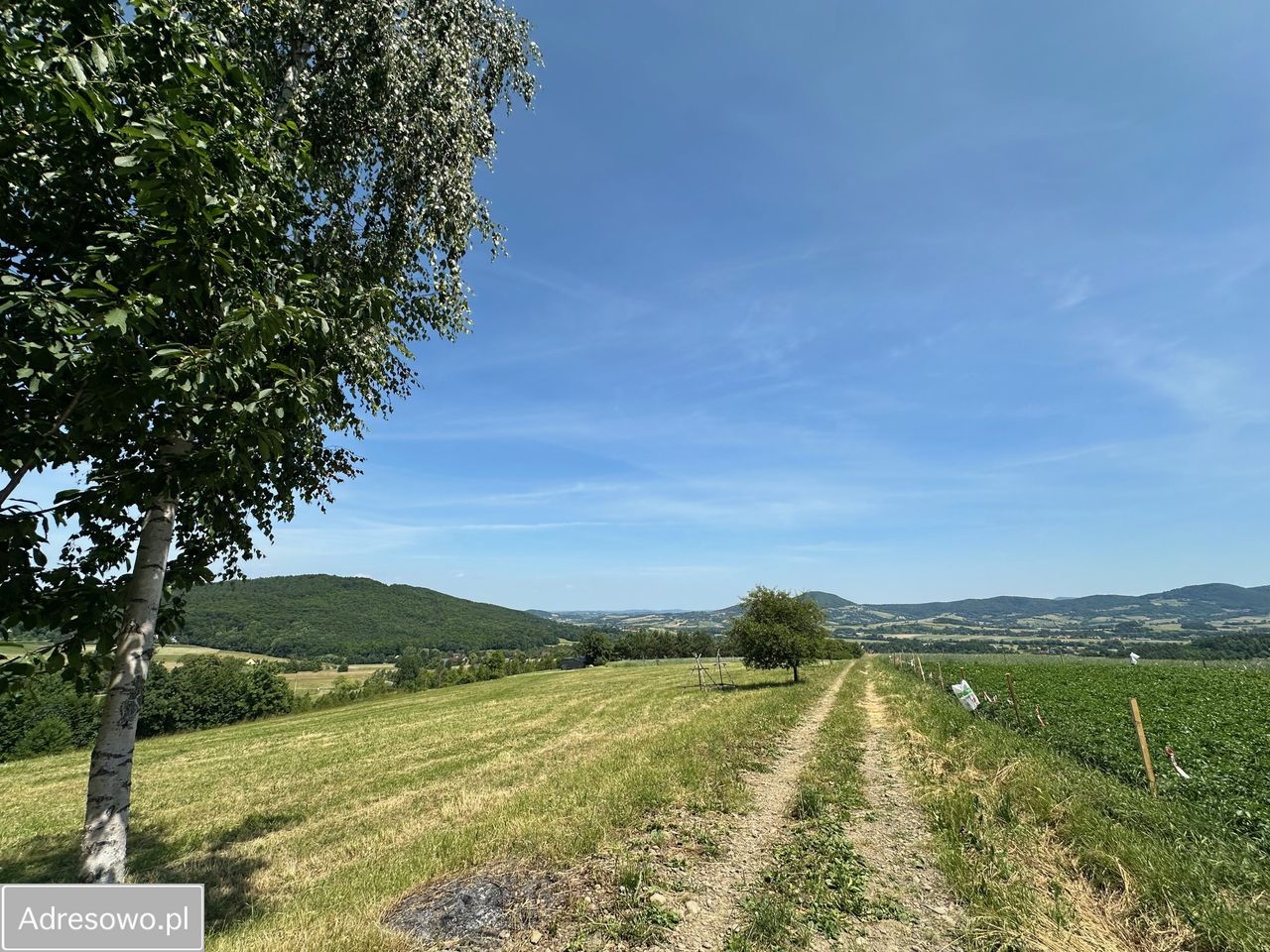 Działka budowlana Lipnik. Zdjęcie 13