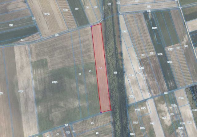 Działka rolna Siedliszcze. Zdjęcie 1