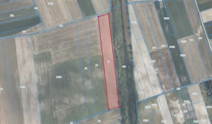 Działka rolna Siedliszcze