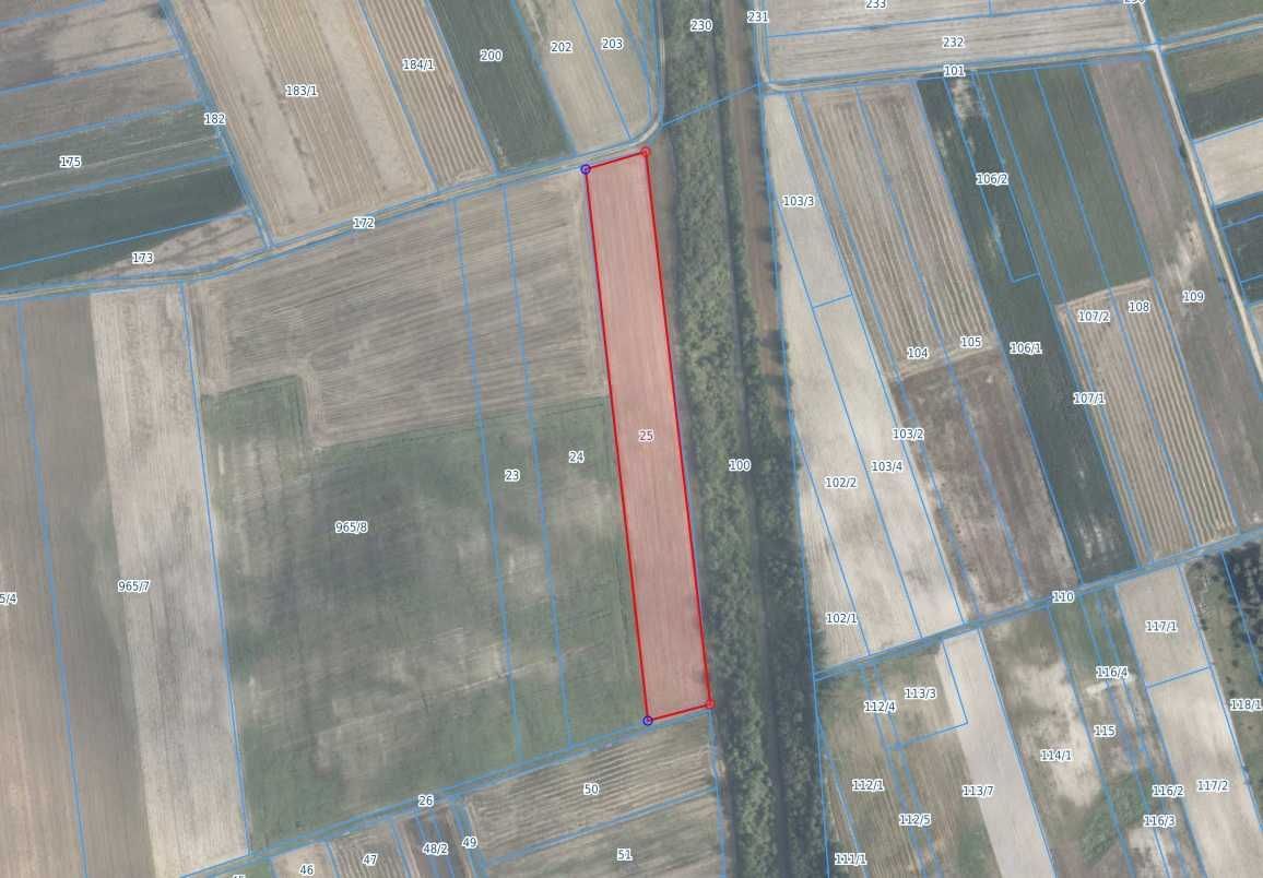 Działka rolna Siedliszcze. Zdjęcie 1