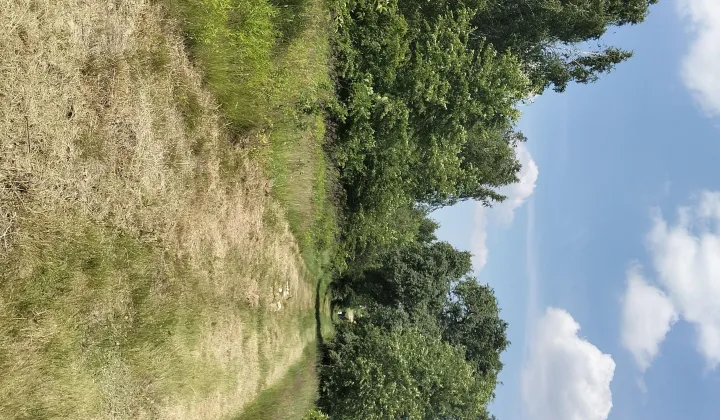 Działka budowlana Józefów