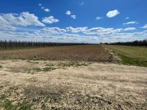 Działka siedliskowa Sobienie Szlacheckie. Zdjęcie 3
