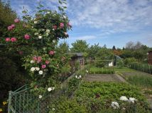 Działka rod Kołobrzeg, ul. Bolesława Krzywoustego. Zdjęcie 2