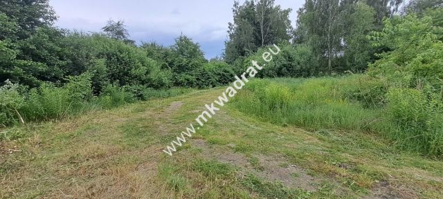 Działka budowlana Stara Wieś, ul. Olchowa. Zdjęcie 15