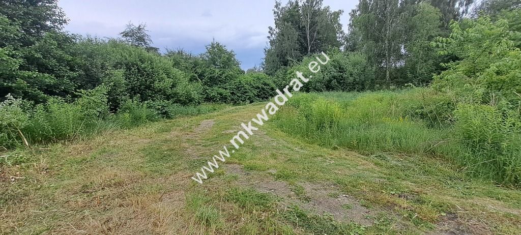 Działka budowlana Stara Wieś, ul. Olchowa. Zdjęcie 15