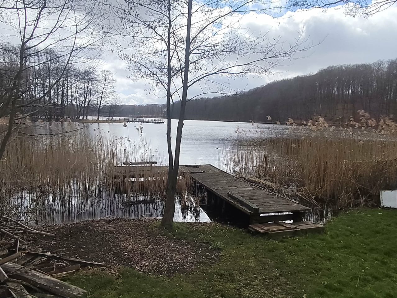 Działka budowlana Orle. Zdjęcie 1