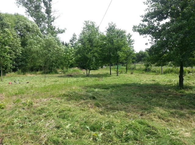 Działka rolna Szklary. Zdjęcie 1