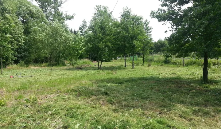 Działka rolna Szklary