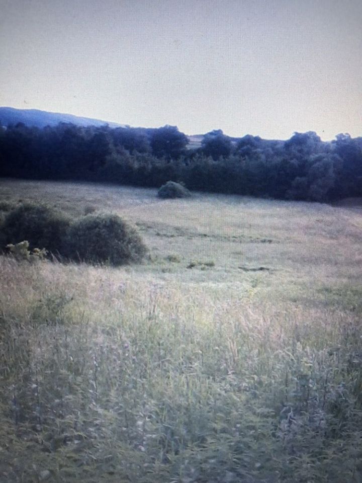 Działka Zawada. Zdjęcie 4