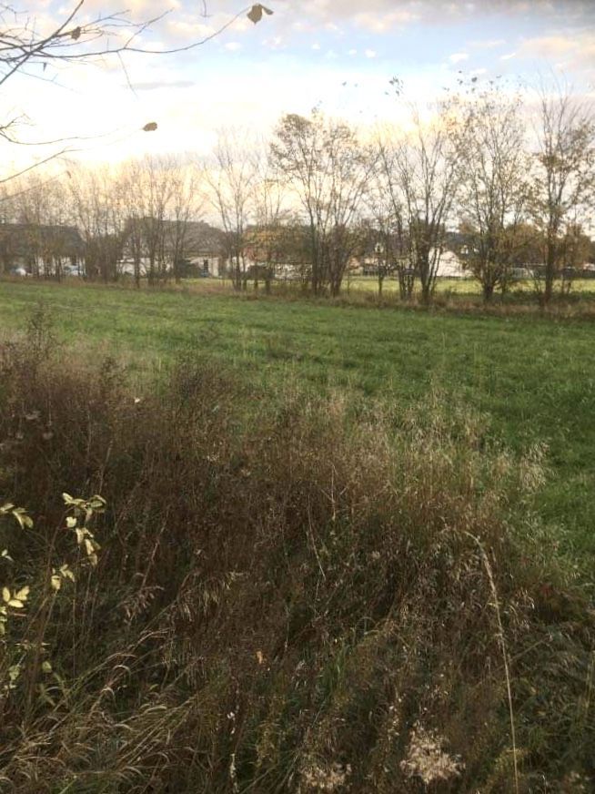 Działka budowlana Rogoźno, ul. Boguniewska. Zdjęcie 5