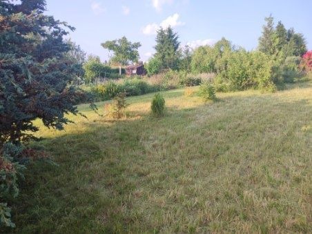 Działka rod Świdnik, ul. Sosnowa. Zdjęcie 3