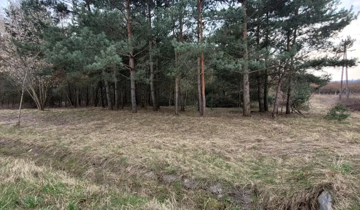 Działka budowlana Ożarów