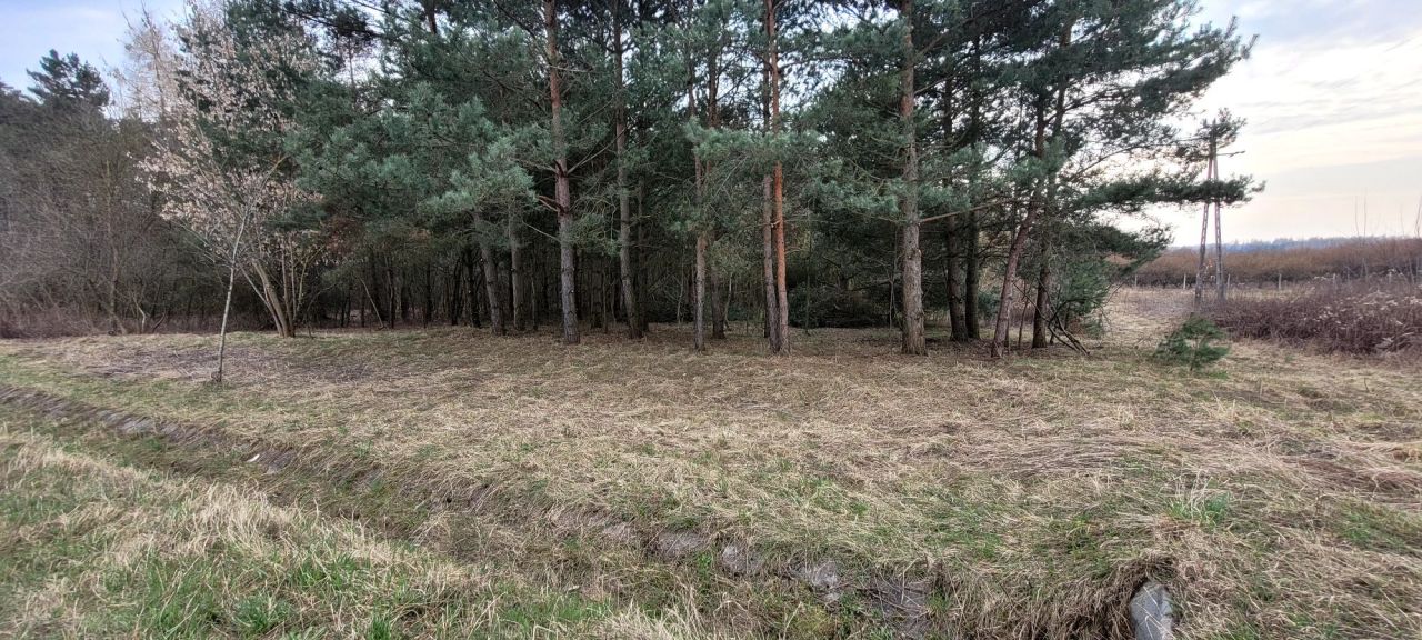 Działka budowlana Ożarów