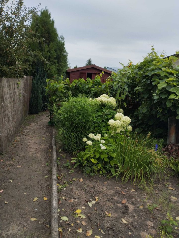 Działka rod Września. Zdjęcie 3