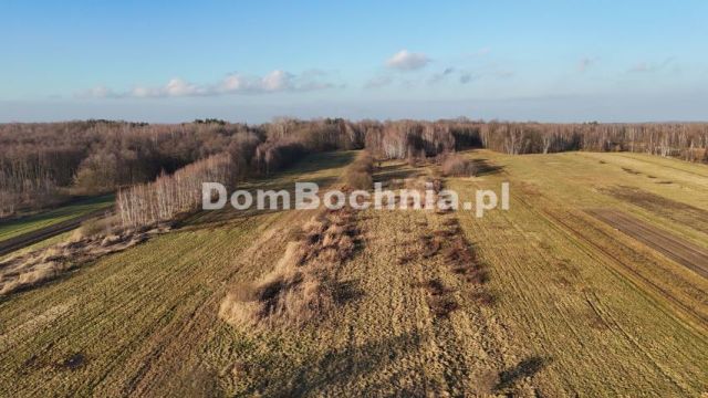 Działka budowlana Jodłówka. Zdjęcie 15