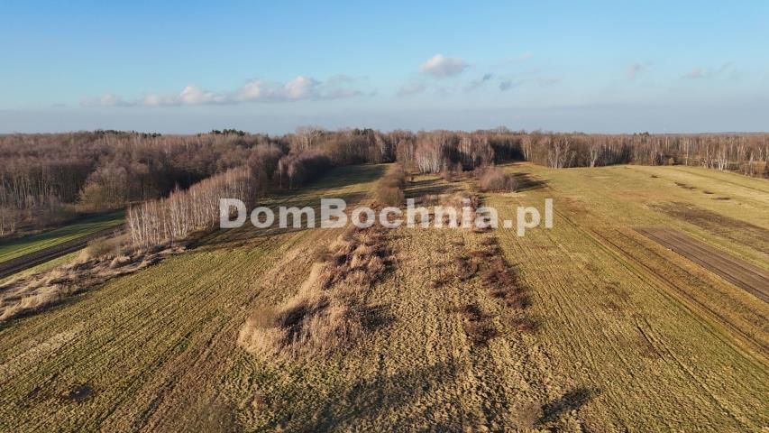 Działka budowlana Jodłówka. Zdjęcie 15