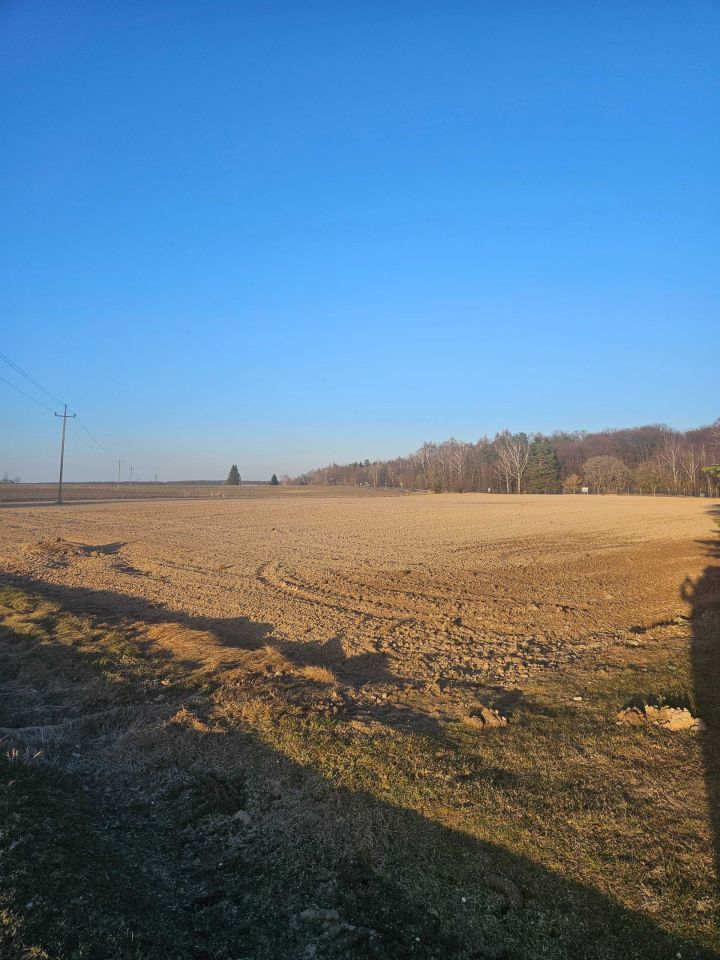 Działka budowlana Wieprzowe Jezioro. Zdjęcie 2