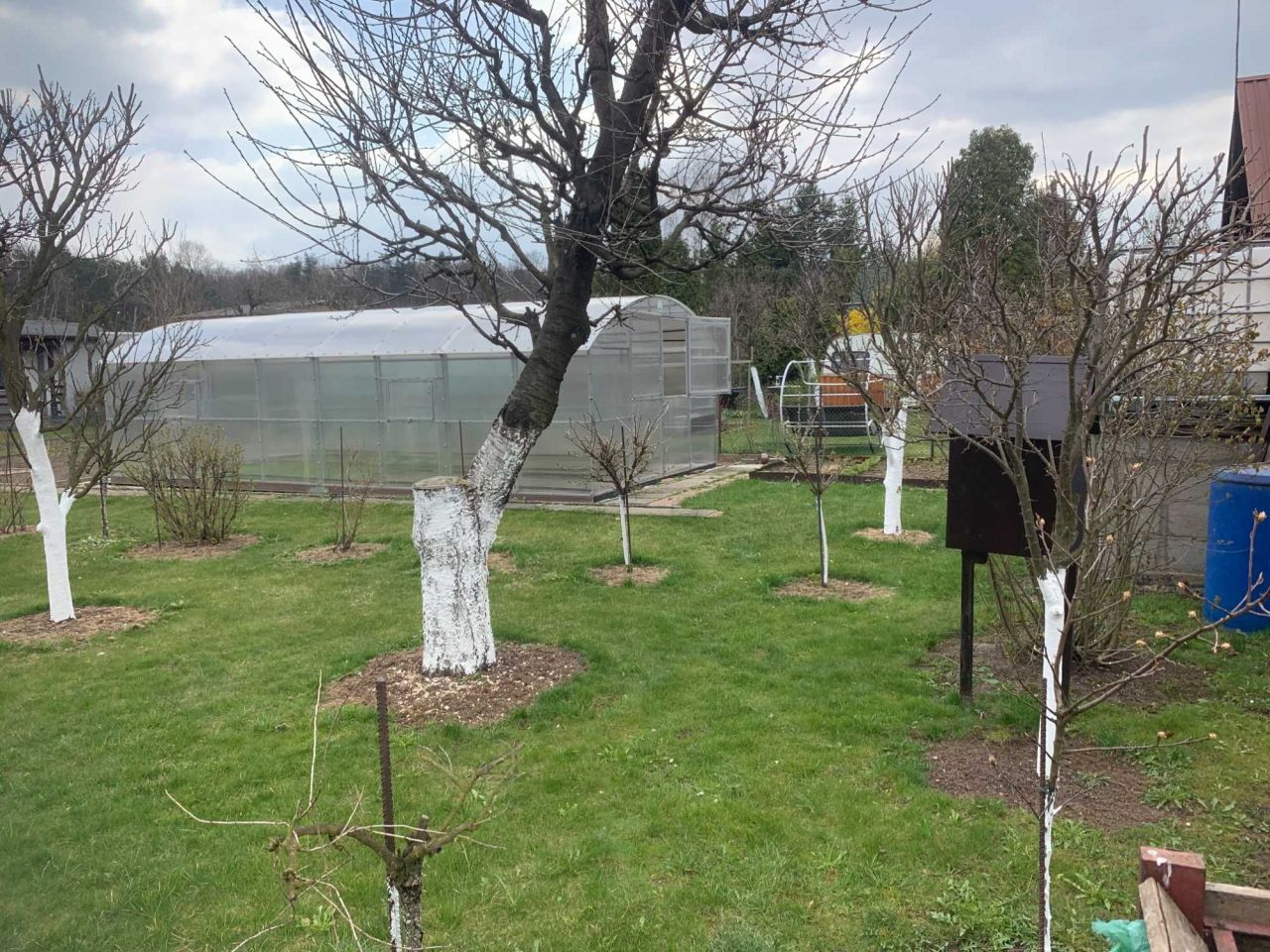 Działka rod Poręba, ul. Modrzewiowa. Zdjęcie 6