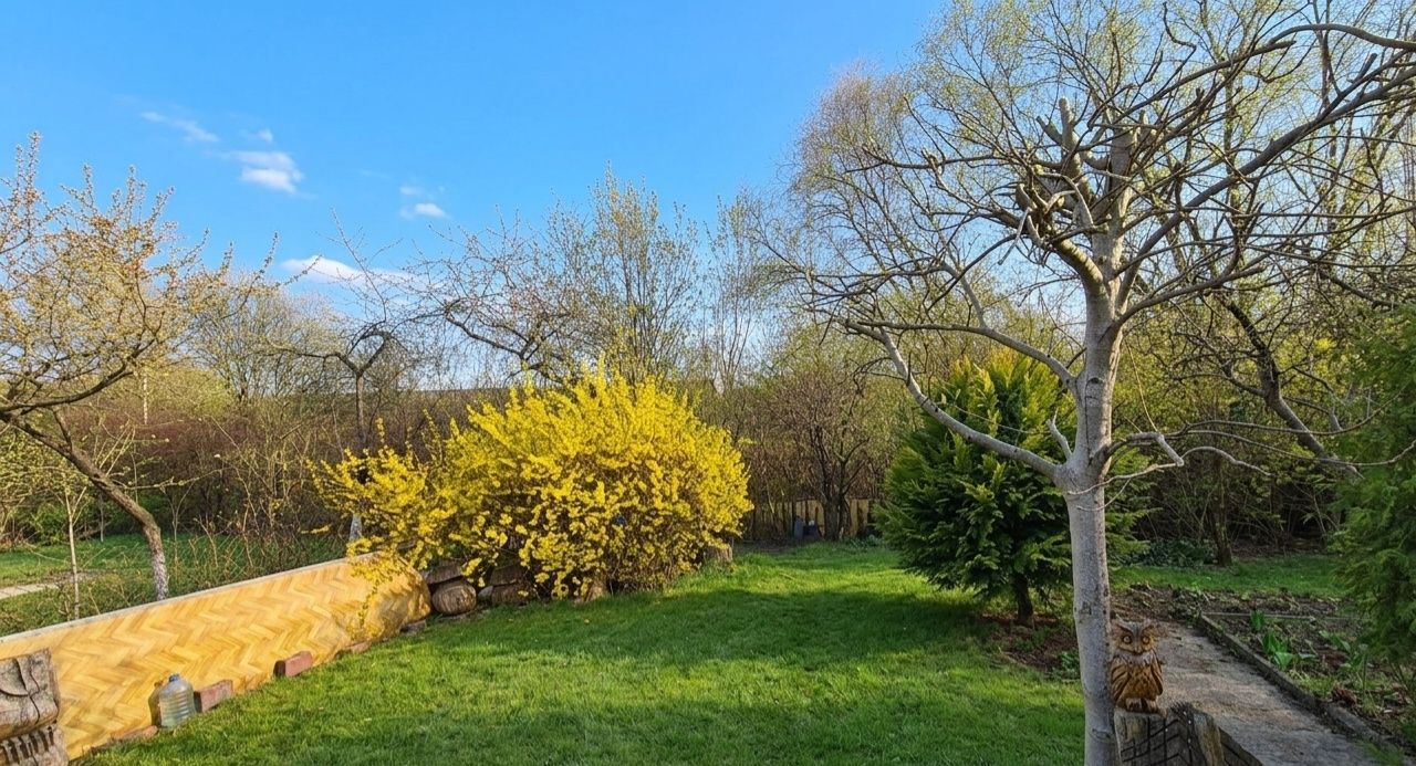 Działka rod Sosnowiec, ul. Społeczna. Zdjęcie 4
