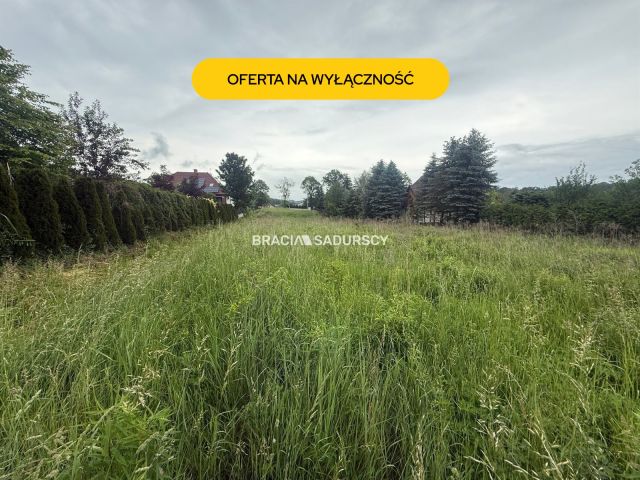 Działka inwestycyjna Wilczkowice. Zdjęcie 1
