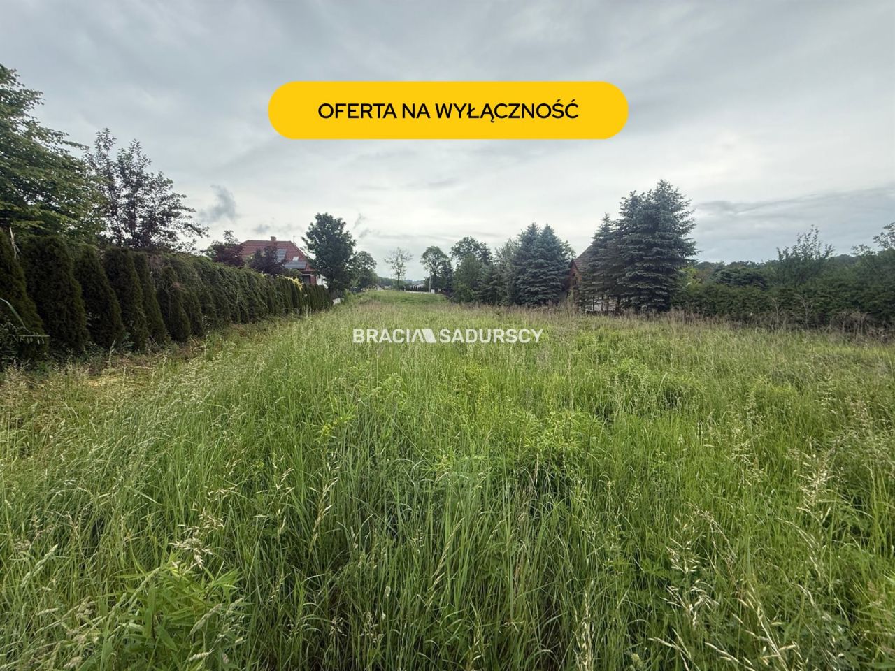 Działka inwestycyjna Wilczkowice. Zdjęcie 1