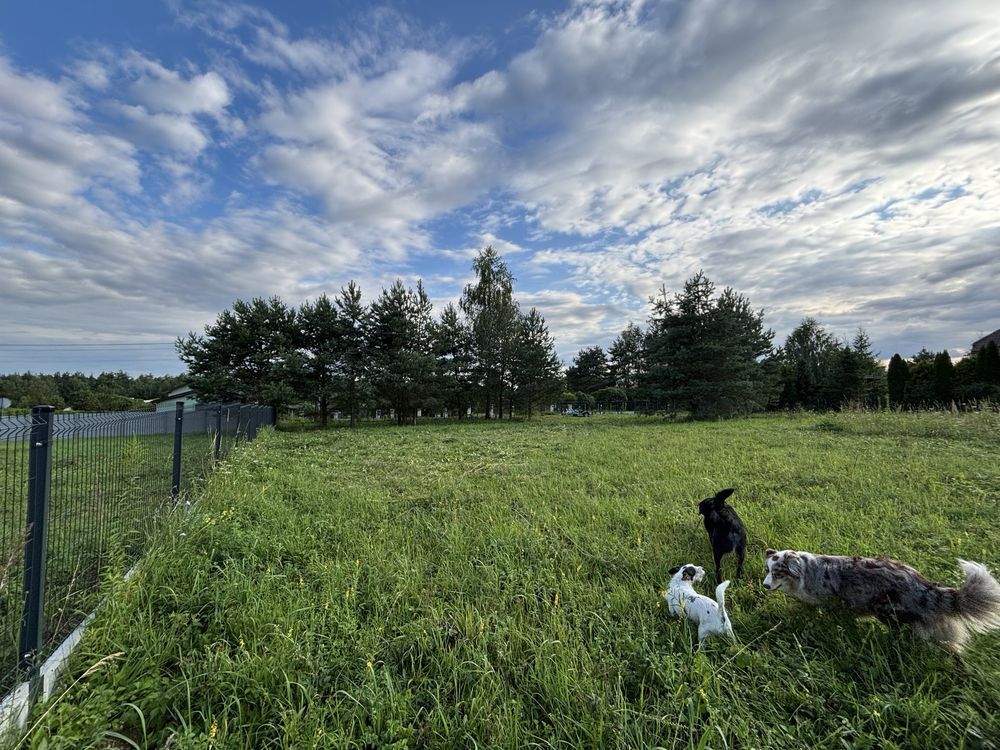 Działka budowlana Biskupice Nowe Biskupice, ul. Jodłowa. Zdjęcie 3