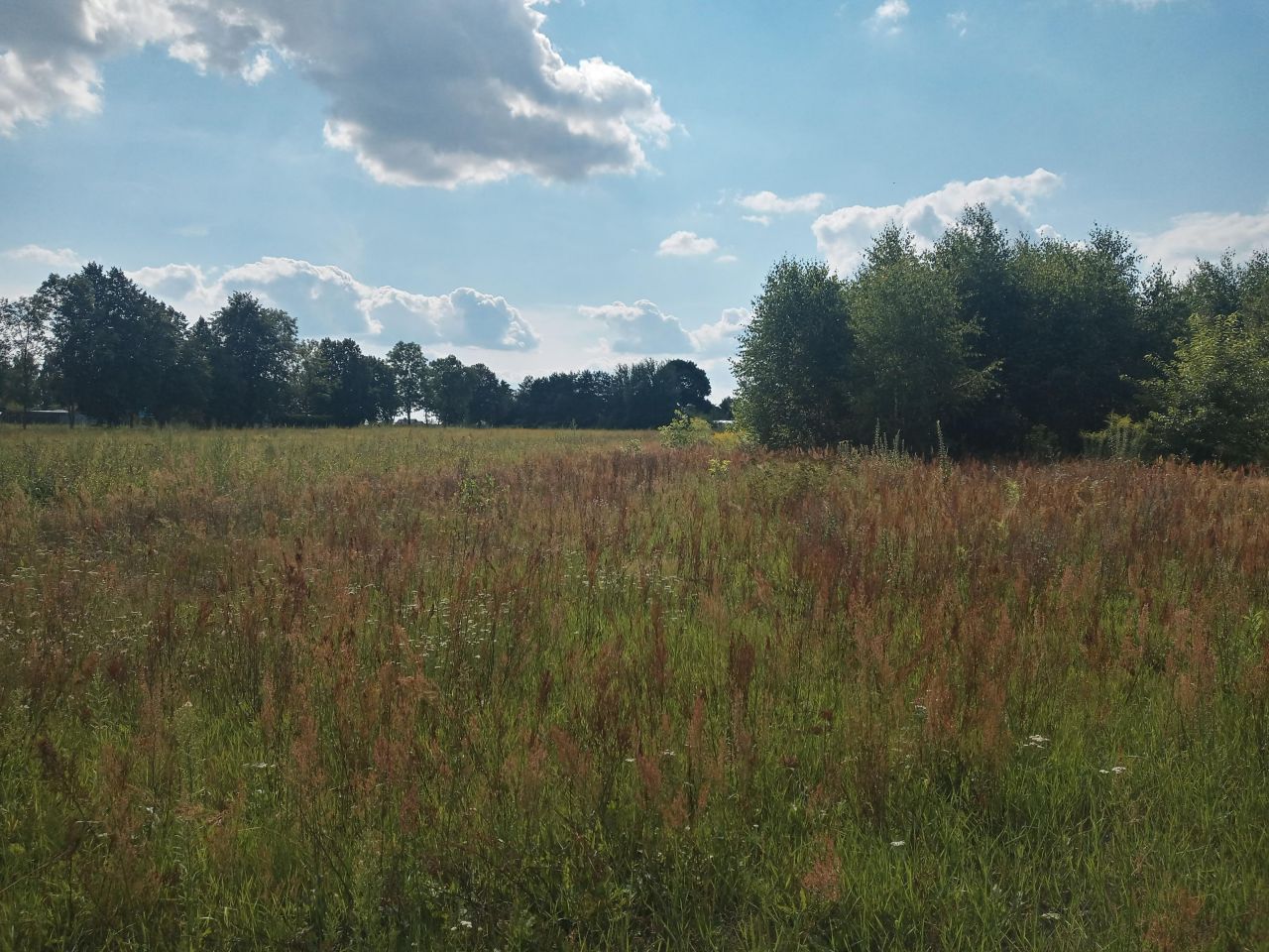 Działka budowlana Babice. Zdjęcie 3