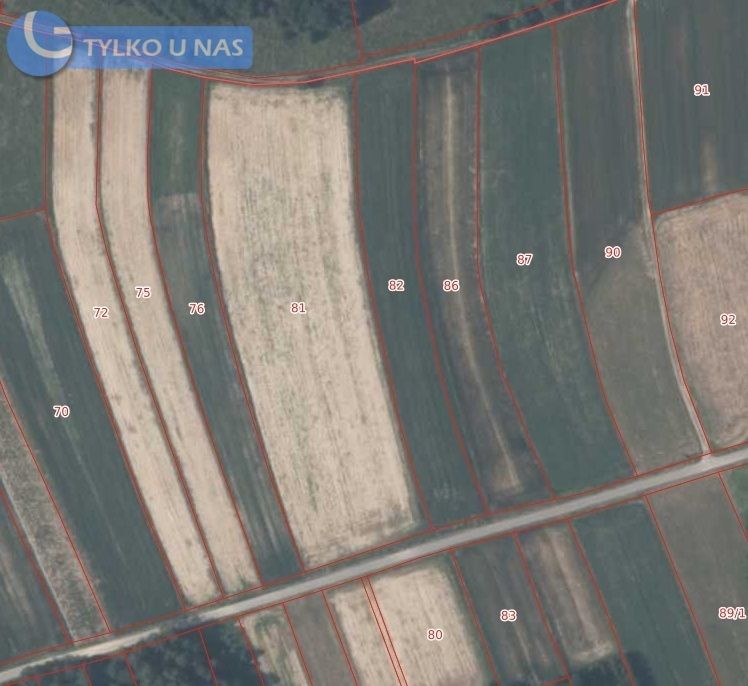 Działka Lipnica Dolna. Zdjęcie 12