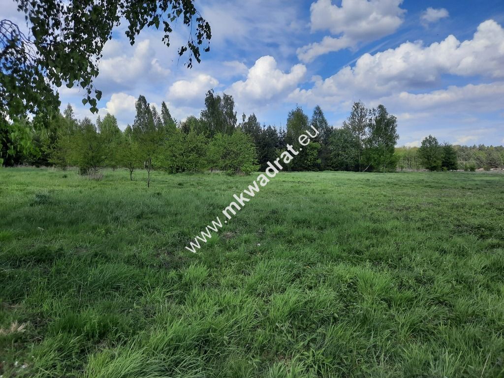 Działka budowlana Rozalin. Zdjęcie 1