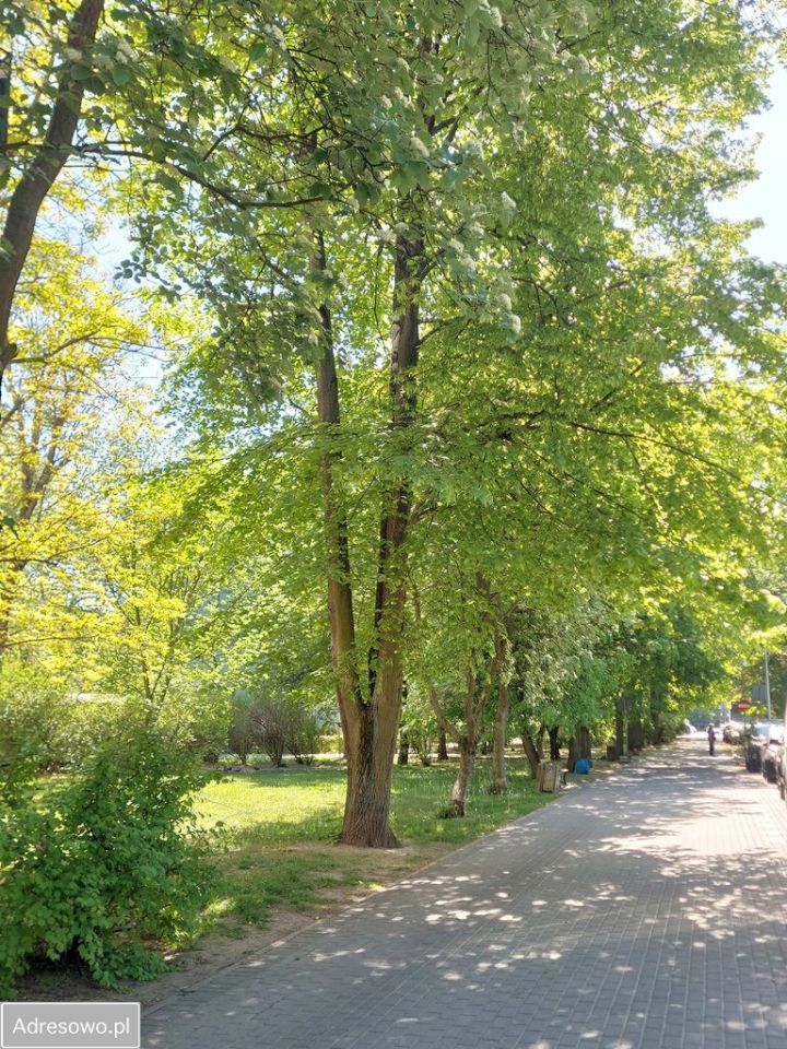 Mieszkanie 3-pokojowe Warszawa Bródno, ul. Wybrańska. Zdjęcie 15